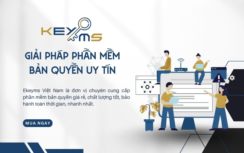 phần mềm bản quyền ekeyms